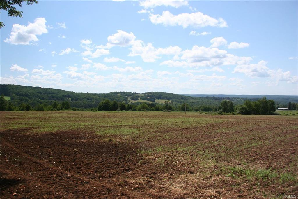 20 Kratz - Photo 1