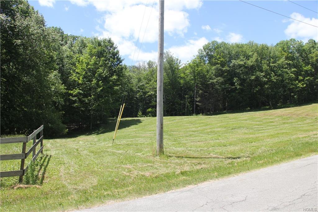 Old Danzer Road - Photo 1