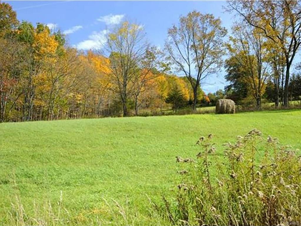 454 County Route 17 - Photo 1