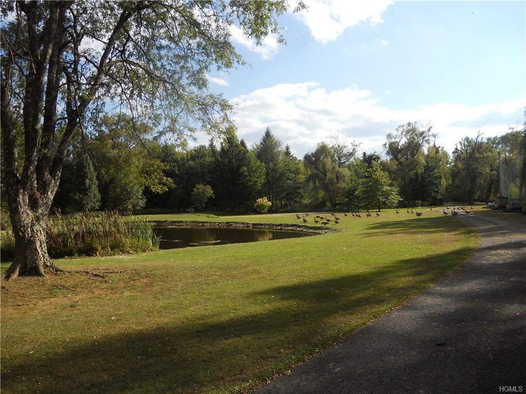 661 Route 17M - Photo 1