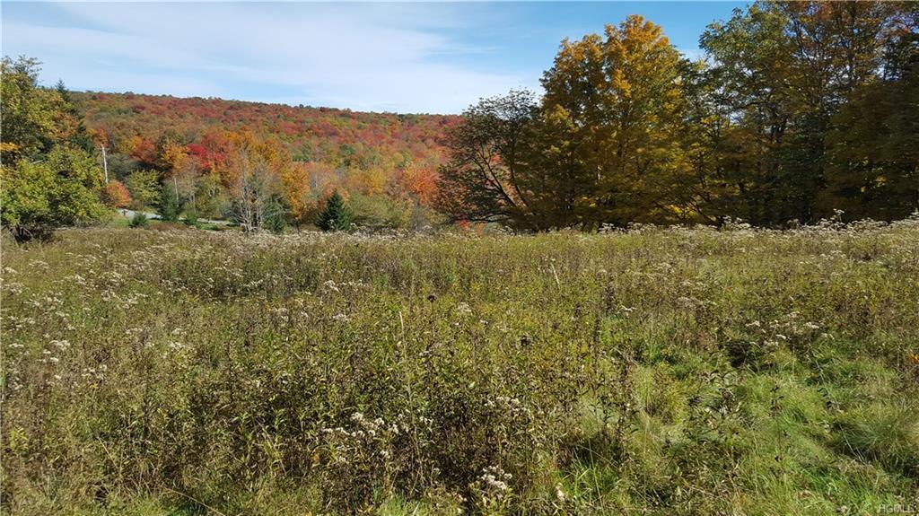 Tuttle Hill Road - Photo 1