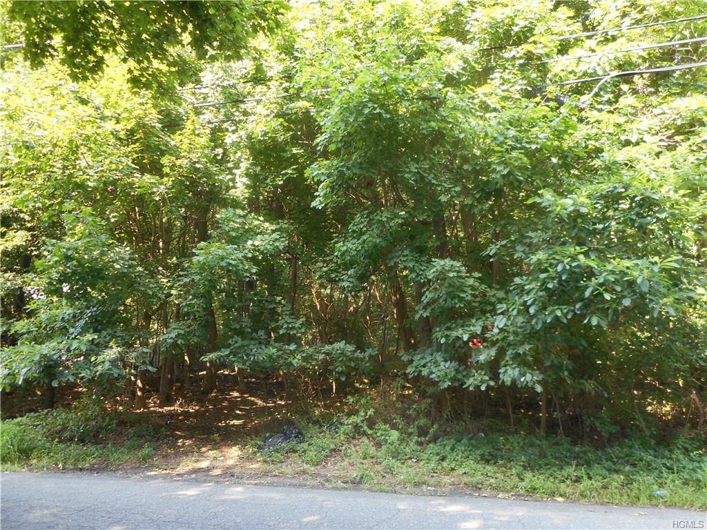 36 New Hempstead Road - Photo 1
