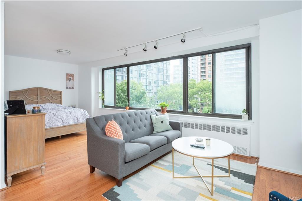 382 Central Park West - Photo 1