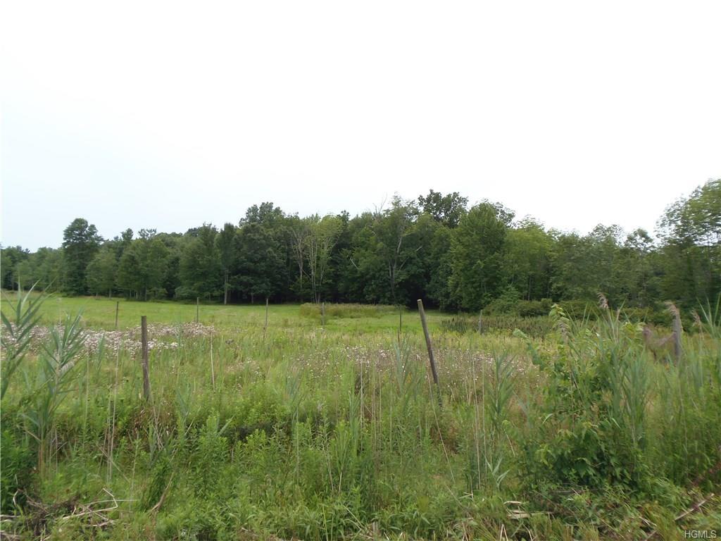 328 Bloomingburg Road - Photo 1