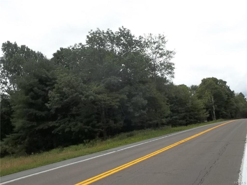 0 State Route 42 - Photo 1