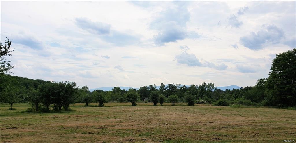 799 County Route 111 - Photo 1