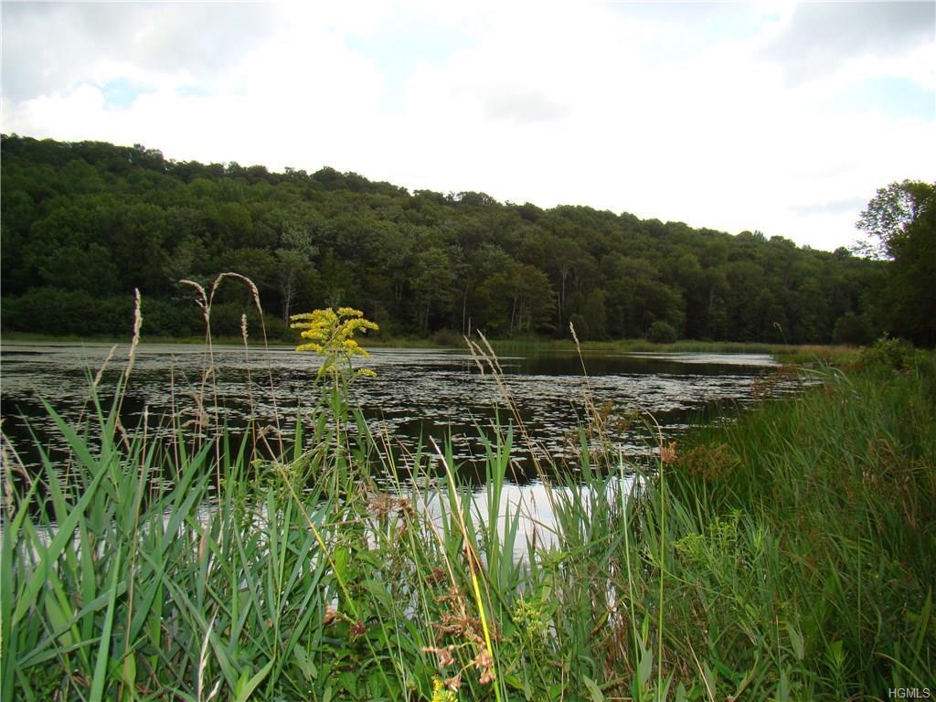 William Brown Road - Photo 1