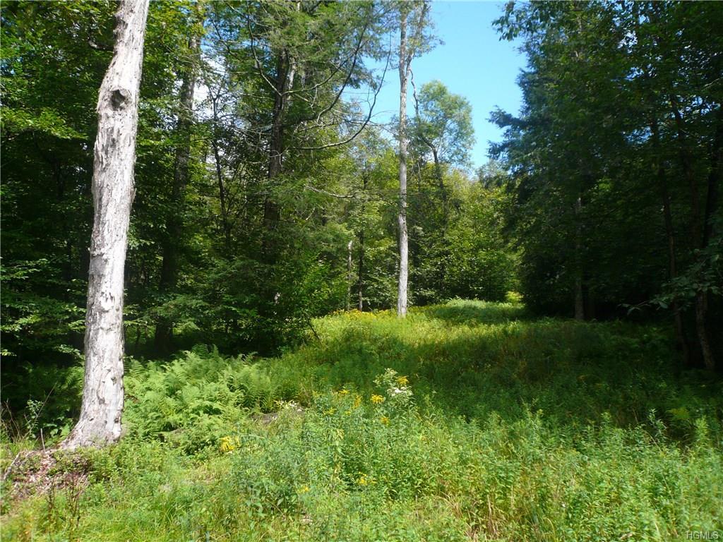 00 Dahlia Road - Photo 1