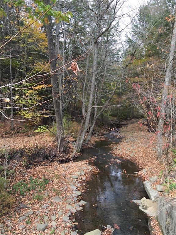 Tennanah Lake Road - Photo 1