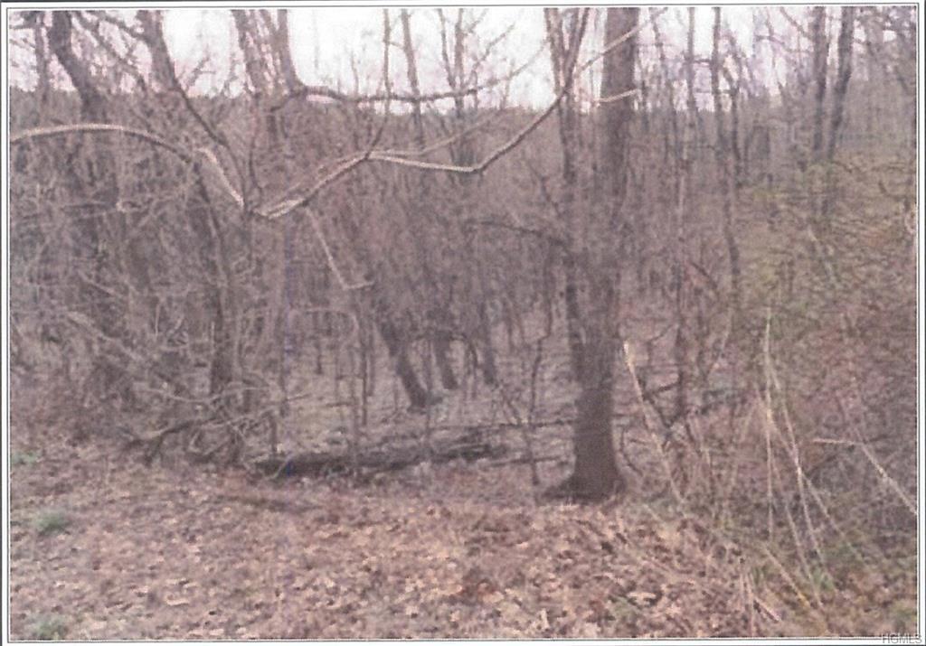 67-71 Carolyn Drive - Photo 1