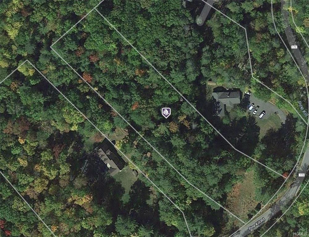 TBD Pine Kill Road - Photo 1