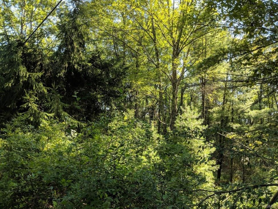 69 Old Plank Road - Photo 1