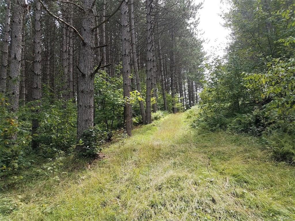 Parksville Road - Photo 1