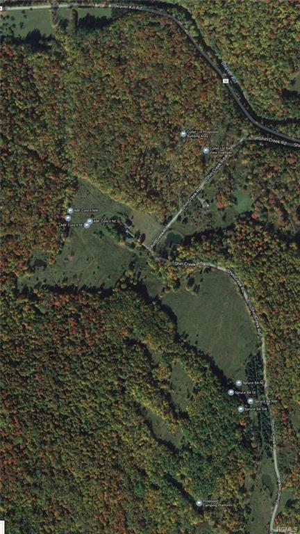 Shin Creek Road - Photo 1