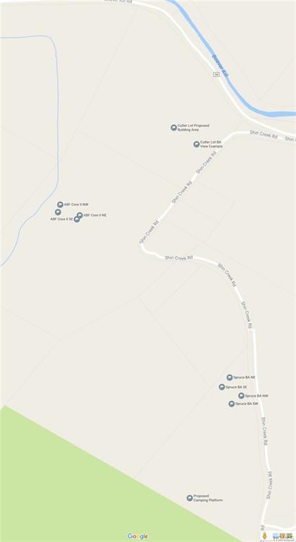 A Shin Creek Road - Photo 1