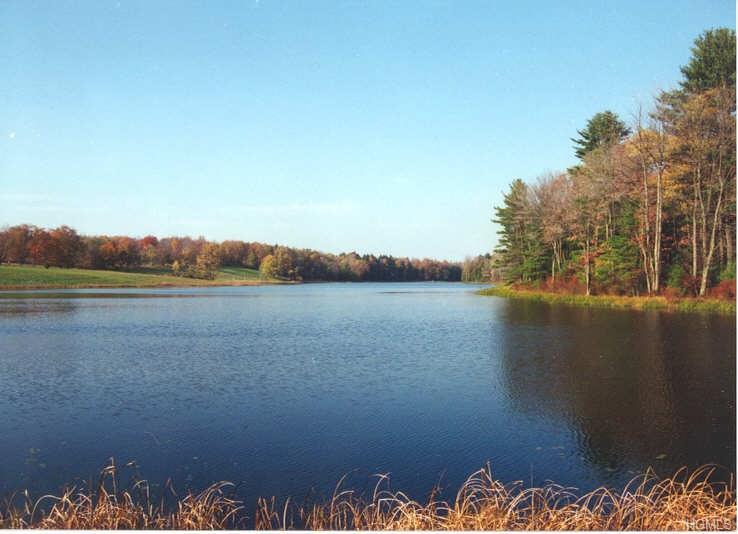 Nys Hwy 17B - Photo 1
