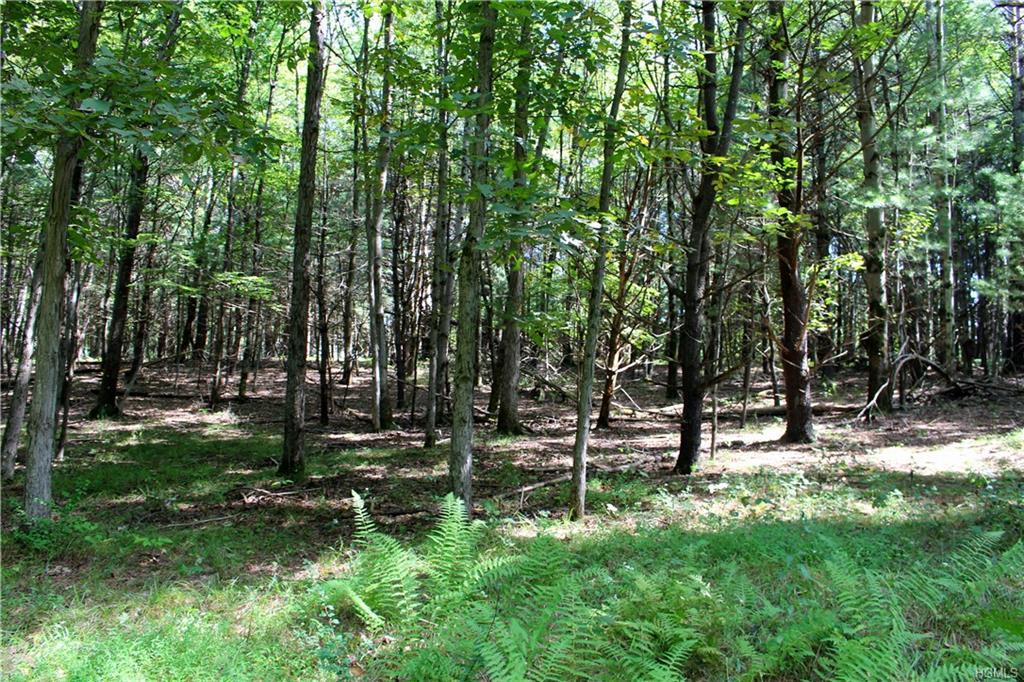 TBD Highwoods Road - Photo 1