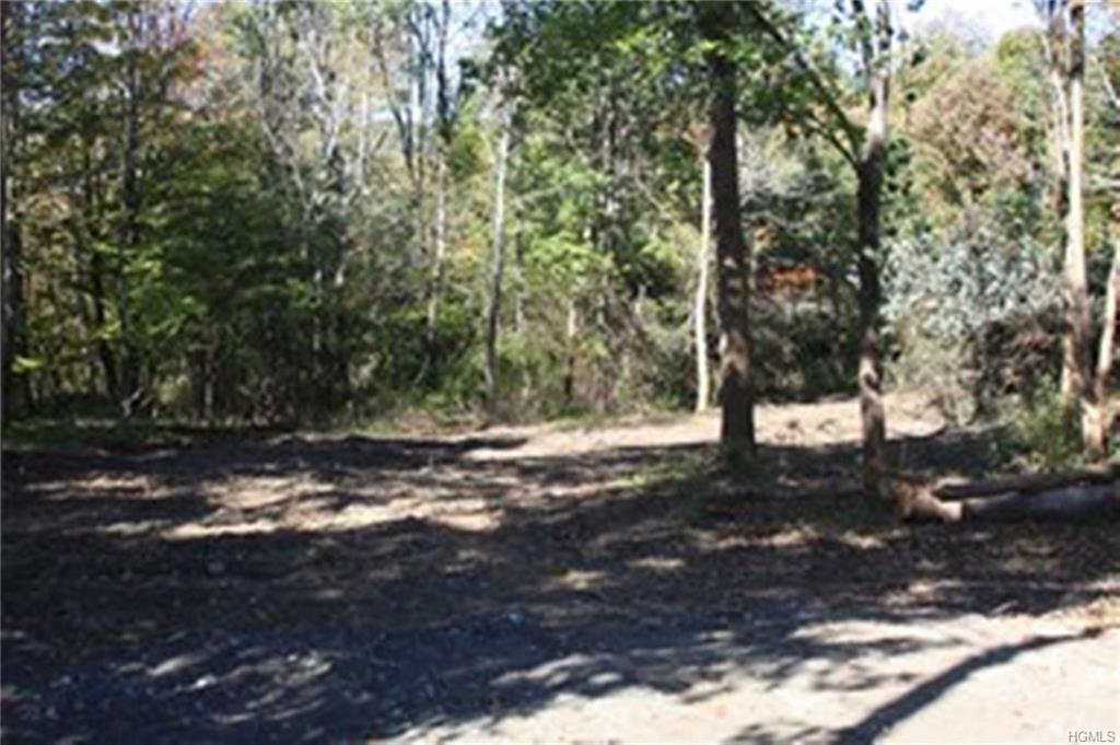 Chestnut Ridge Road - Photo 1