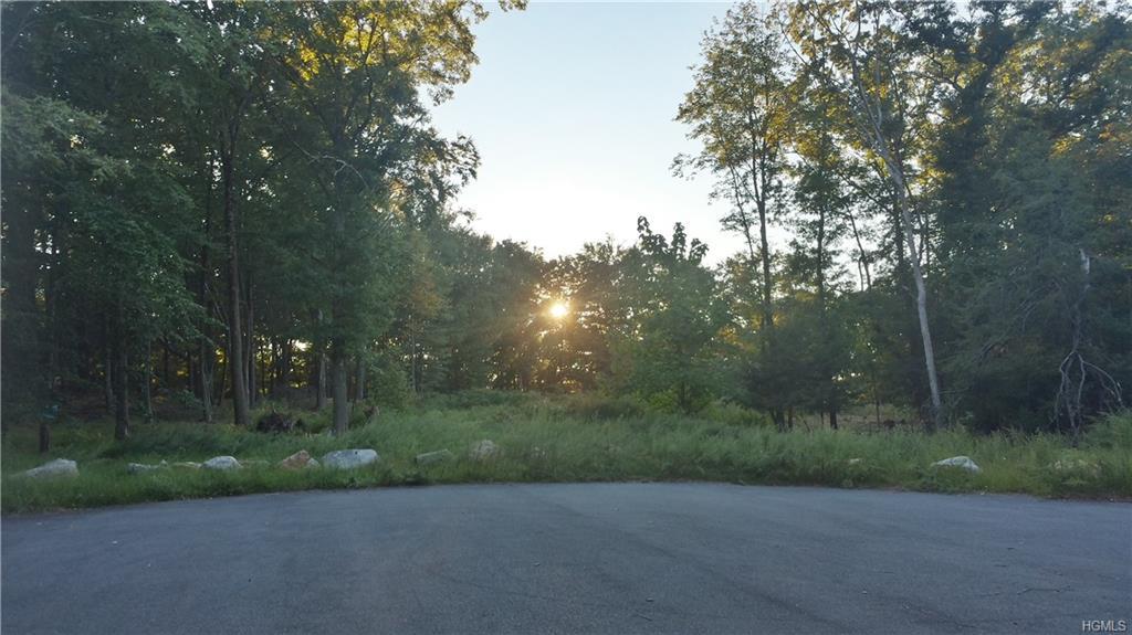 65 White Birch Lane - Photo 1