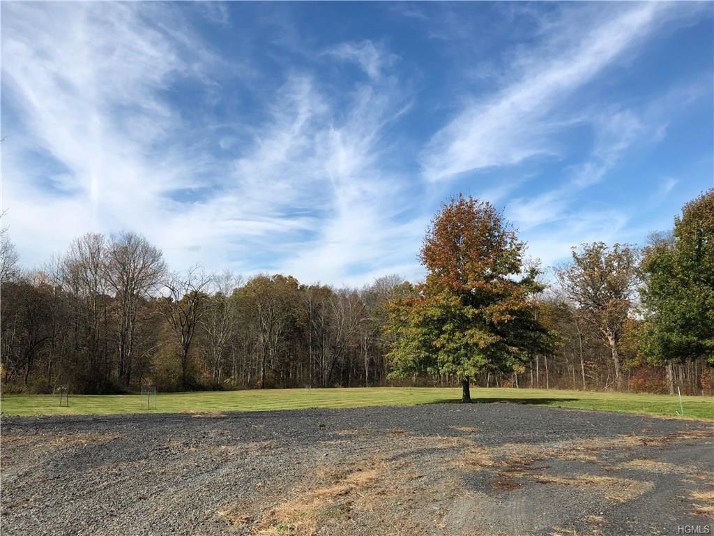 1784 Albany Post Road - Photo 1
