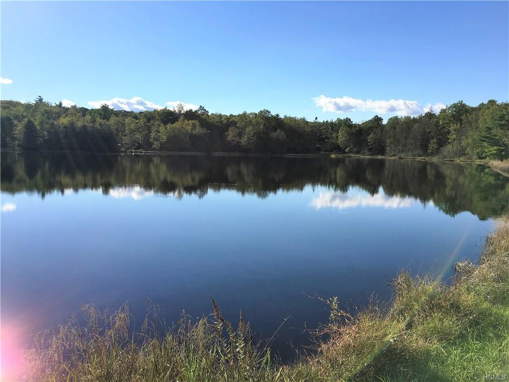 15 Pine Lake - Photo 1