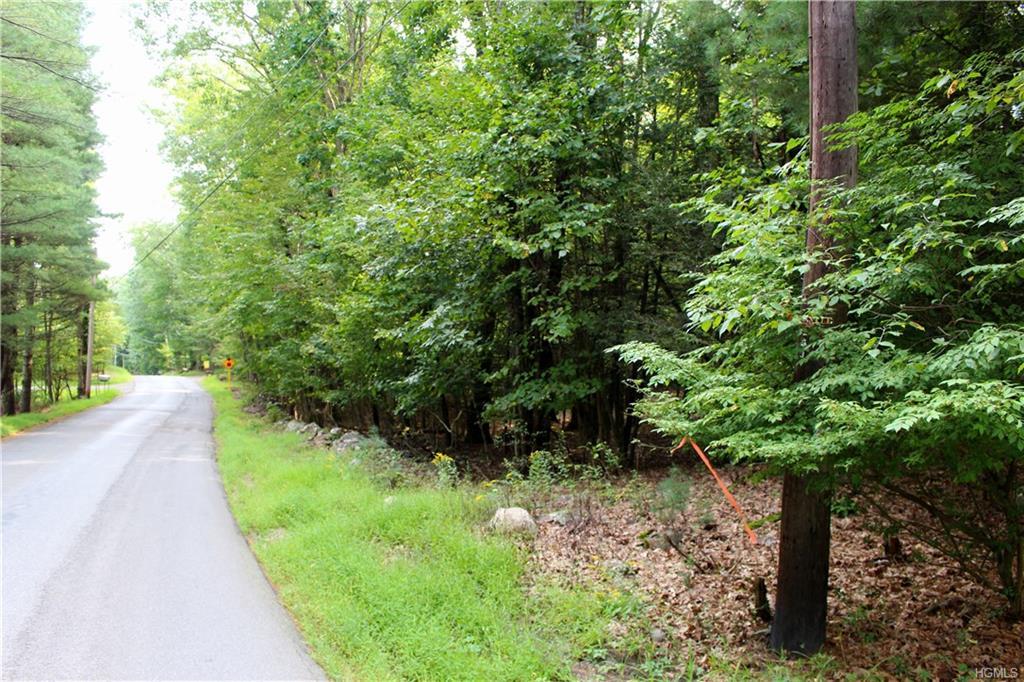 Parcel C Cedar Drive - Photo 1