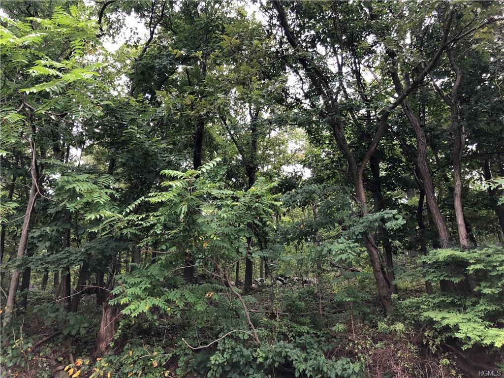 0 Old Tarrytown Road - Photo 1