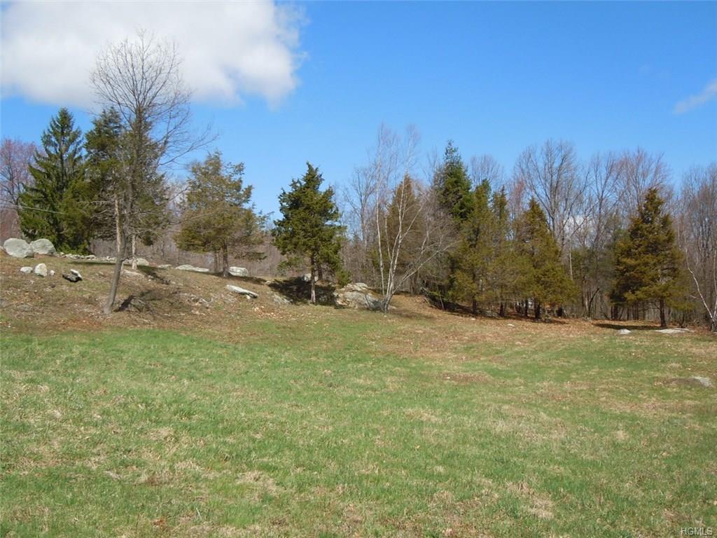 White Rock Road - Photo 1