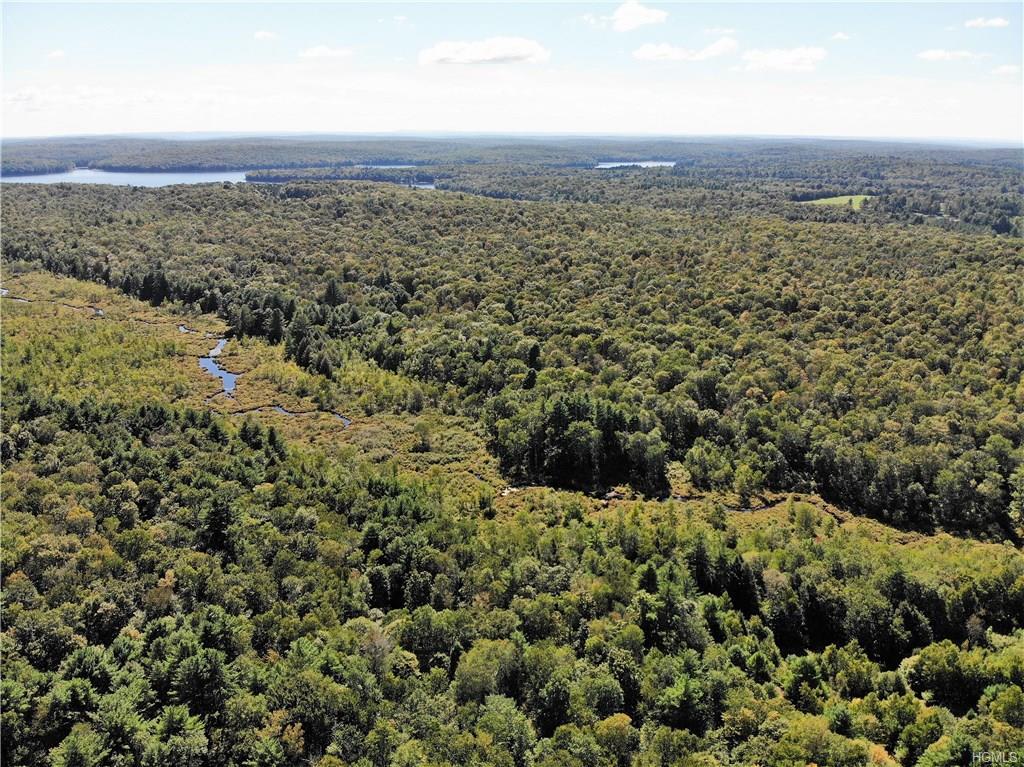 *00 Pine Grove Road - Photo 1
