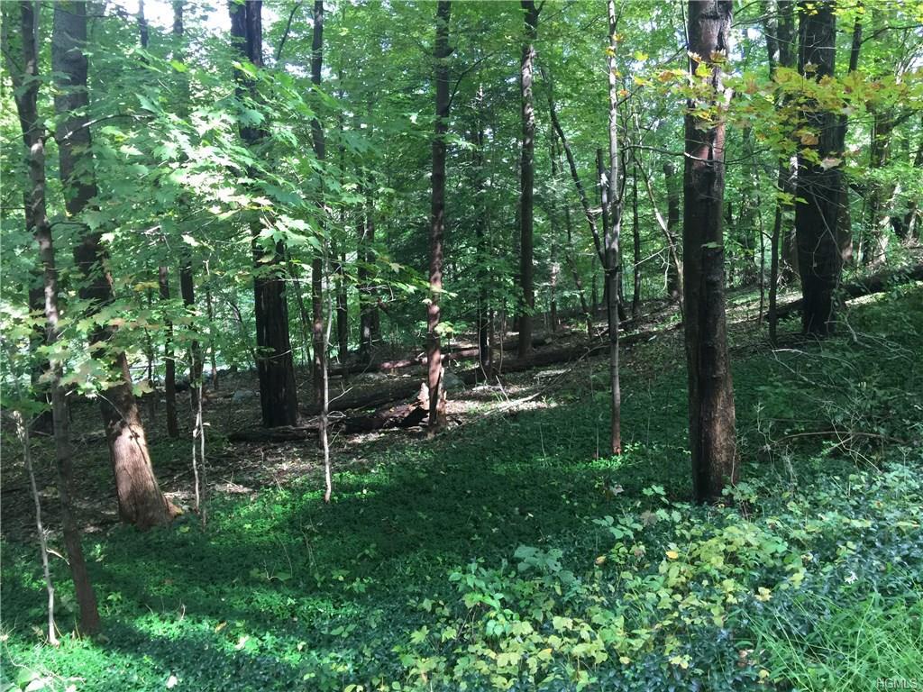 320 Hosner Mountain Road - Photo 1