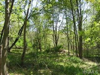 565 Plass Road - Photo 1