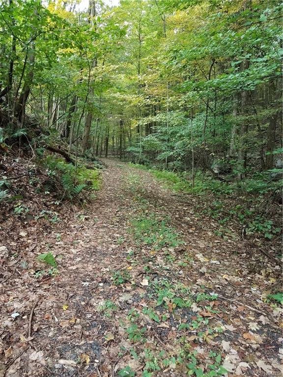 Mount Zion Road - Photo 1