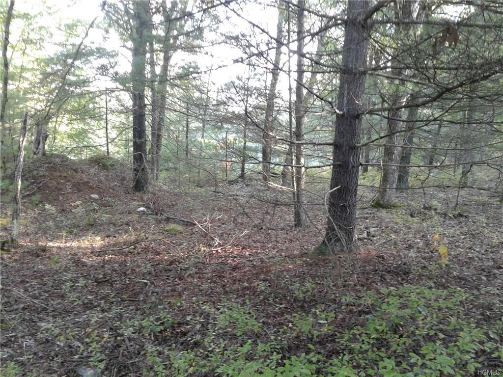 Split Rock Drive - Photo 1