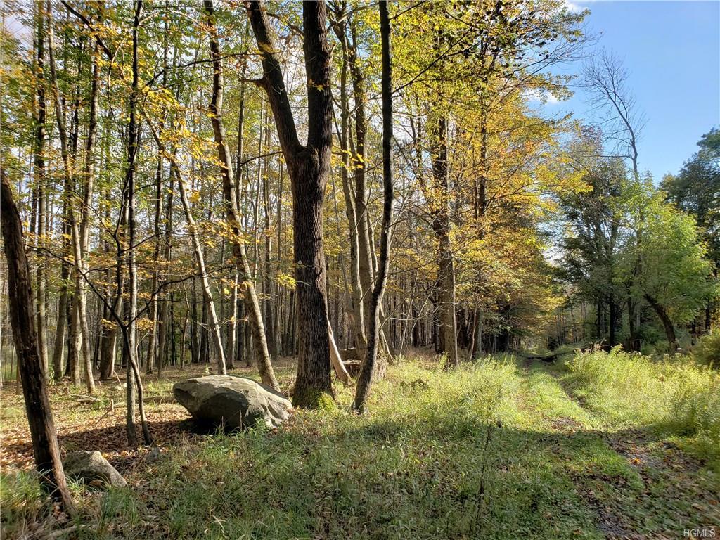 Youngs Hill Road - Photo 1