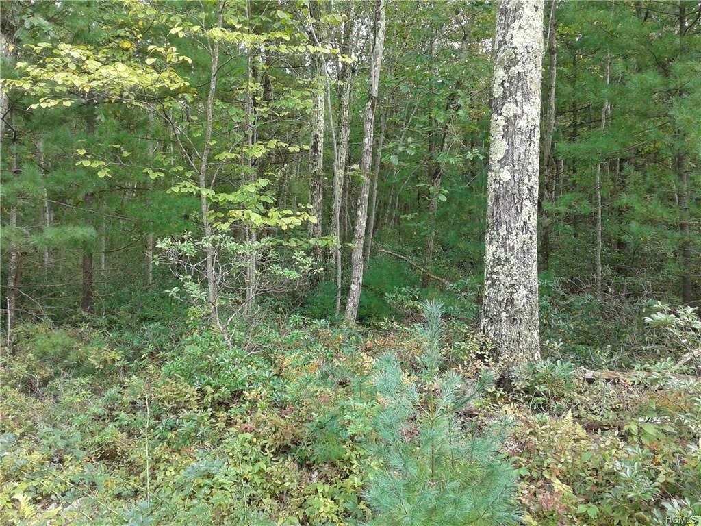 Hallenbach Road - Photo 1