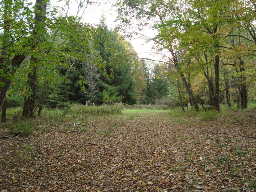 1357 Horseshoe Lake Road - Photo 1