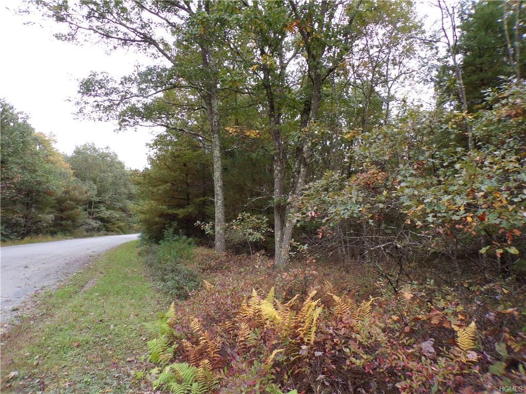 Split Rock Drive - Photo 1