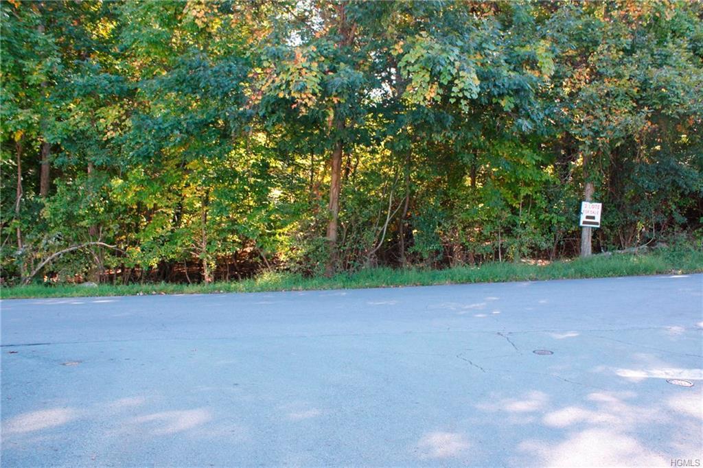 Dean Hill Road - Photo 1
