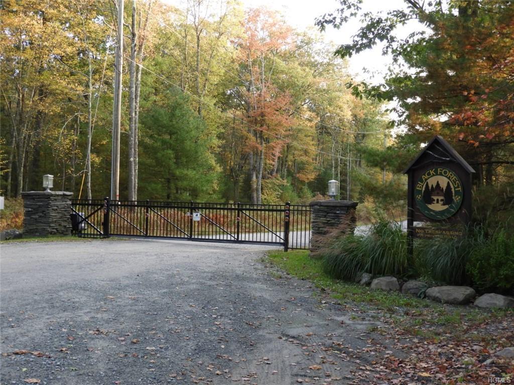 Upper Lumber Road - Photo 1