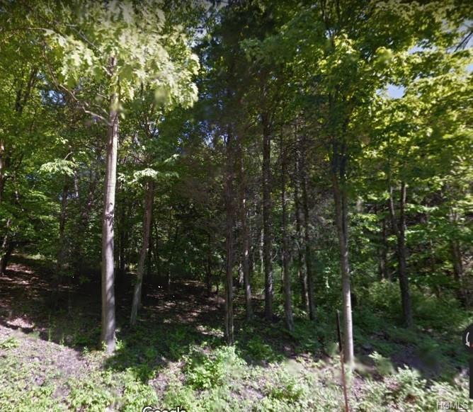 613 Route 199 Lot 2 - Photo 1