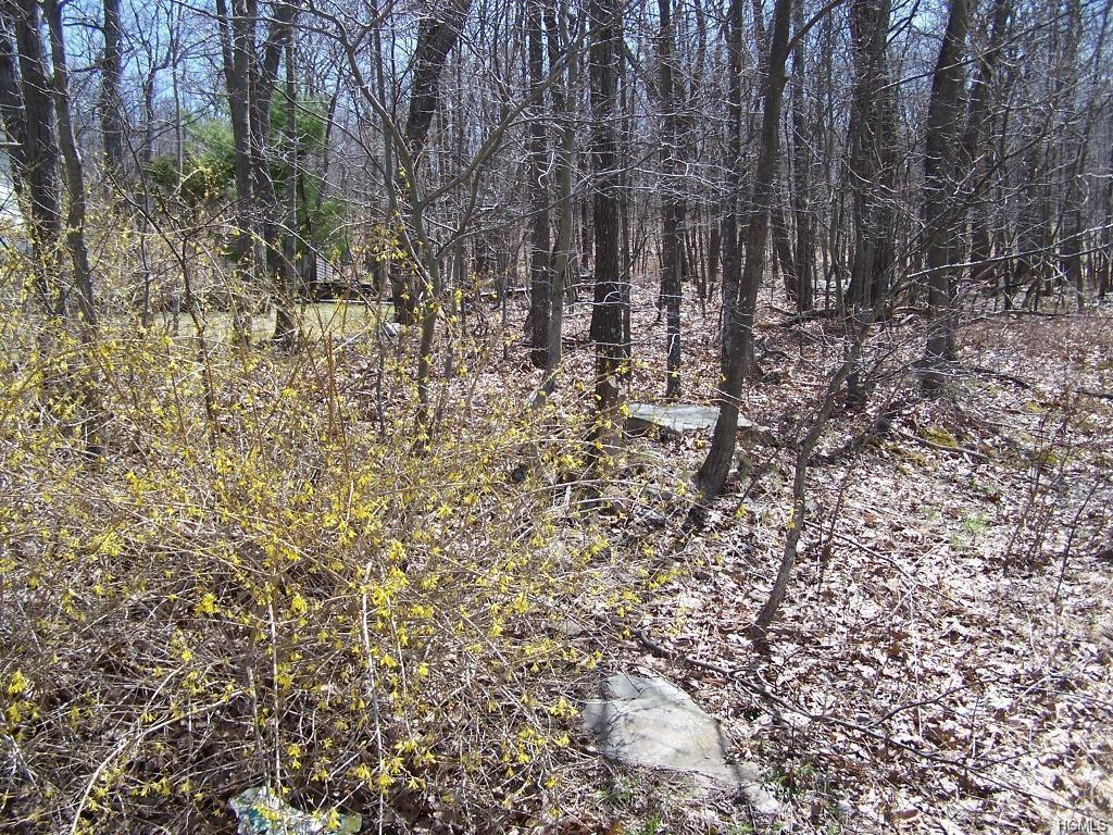 Lot 34.14 Greenville Tpke - Photo 1