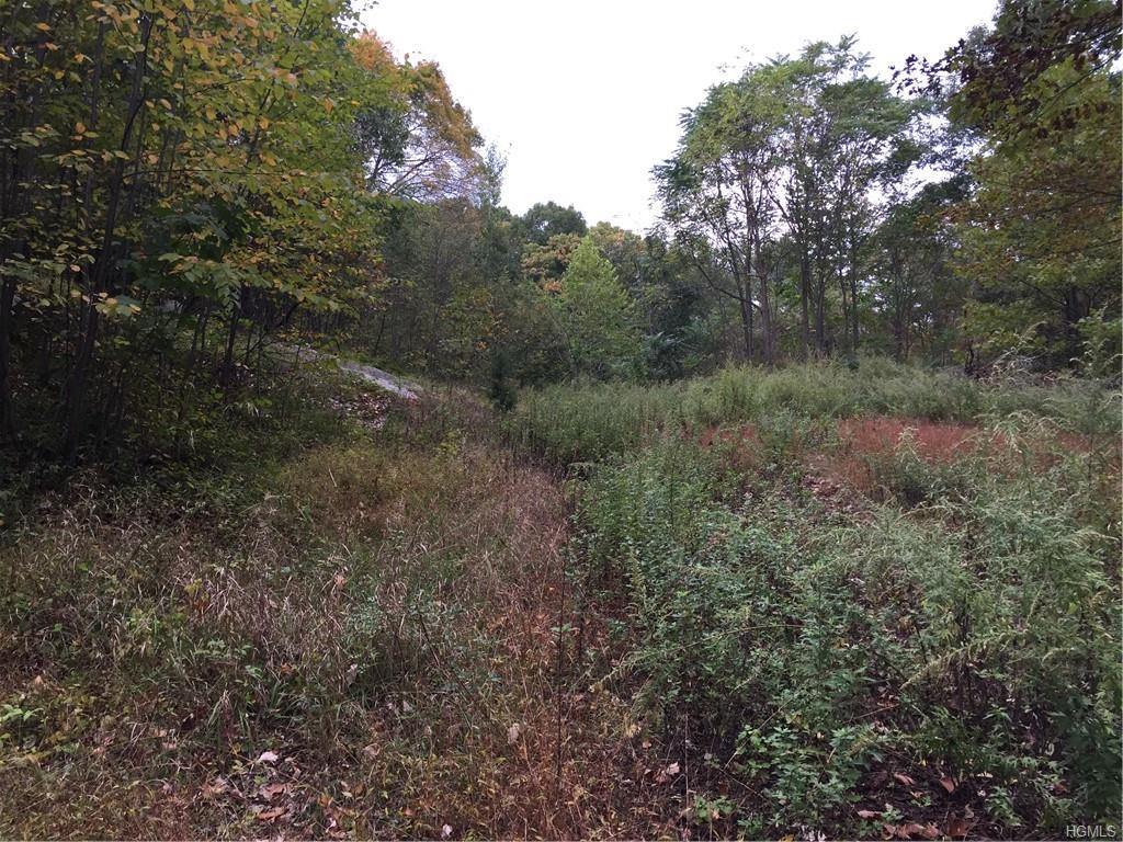 217 Little York Road - Photo 1