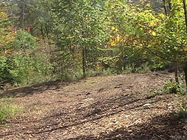 164 Shin Hollow Road - Photo 1
