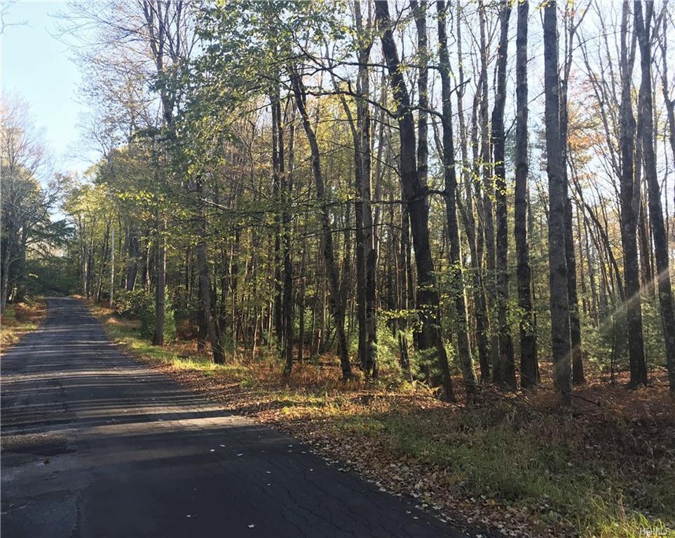 Old Tacy Road - Photo 1