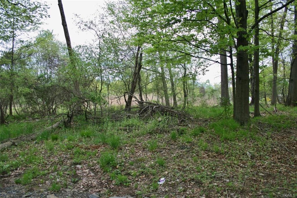 Lot #7 Horan Road - Photo 1