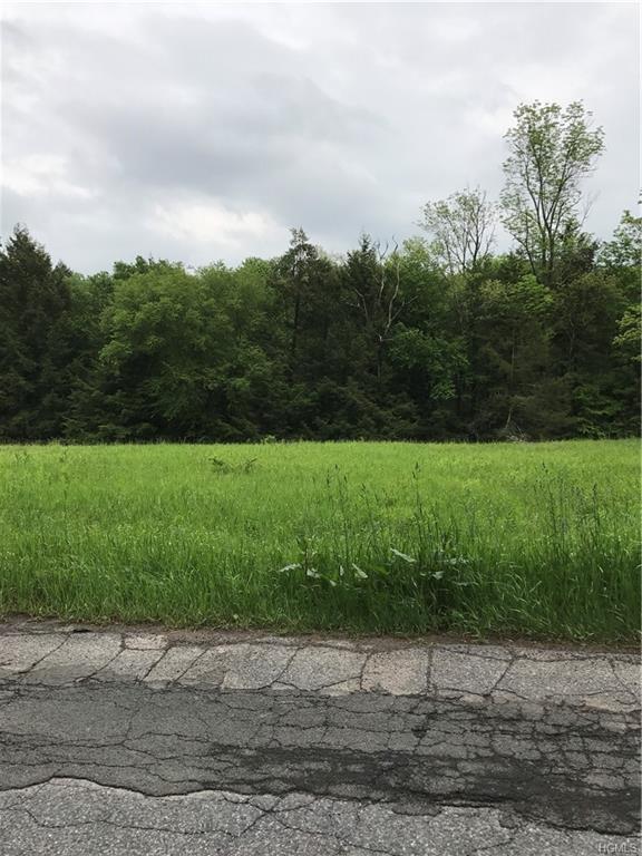 Hurd Road Tr 48 - Photo 1