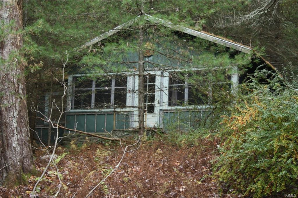 651 Pine Kill Road - Photo 1