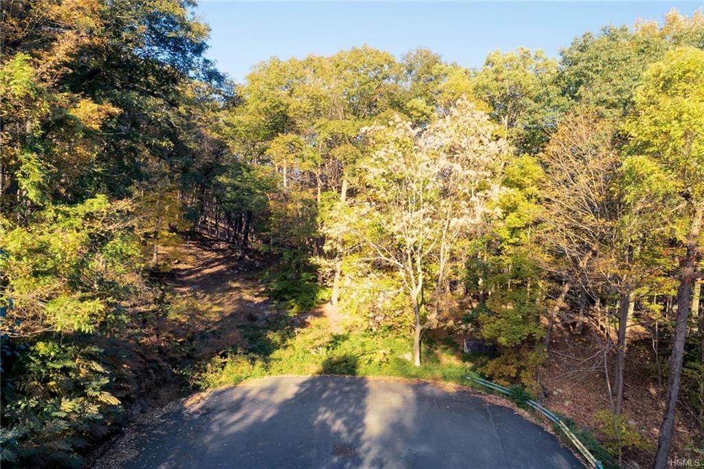 Lookout Stable Road - Photo 1