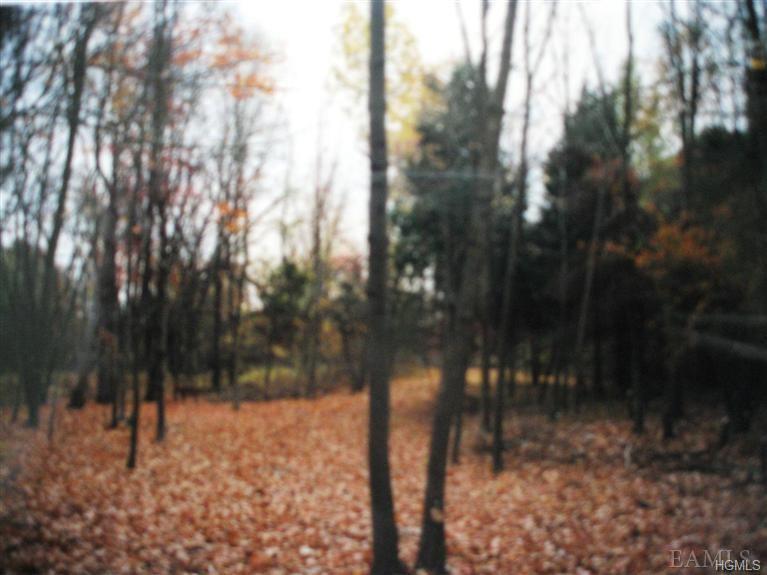 141 Cardinal Road - Photo 1