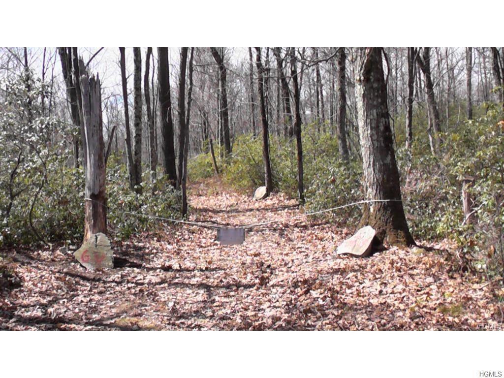 Lot 5 Budd Road - Photo 1